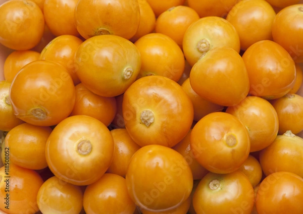 Obraz physalis fruit