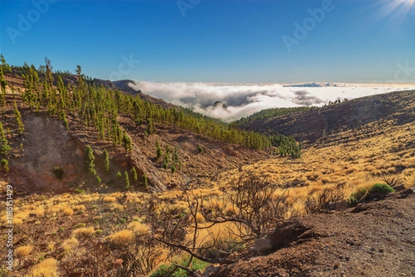 Fototapeta View of the valley and hills in sanset light
