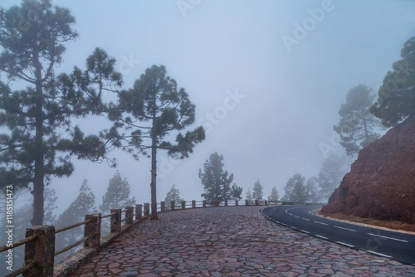 Fototapeta Mountain road in the fog