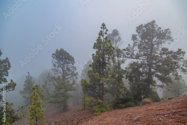 Fototapeta Landscape with mountains covered with clouds