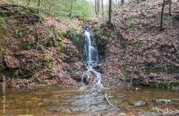 Obraz waterfall in the woods