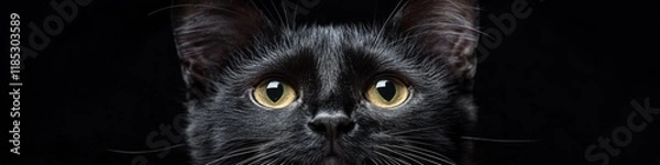 Obraz A close-up of a black cat's face against a dark background, showcasing its striking yellow eyes.
