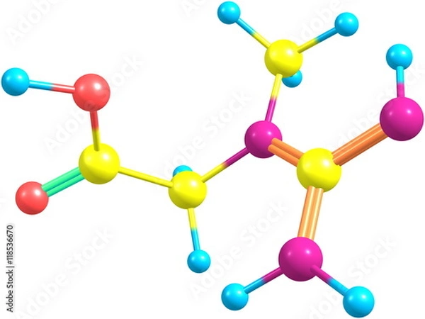 Fototapeta Creatine molecular structure isolated on white