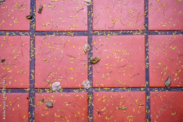 Obraz autumn in the yard