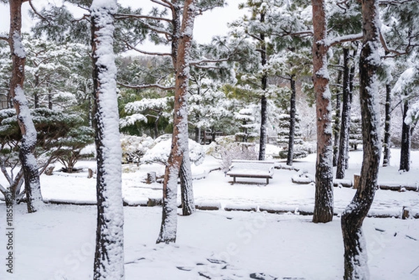 Obraz 하얗게 눈이 내린 겨울 풍경