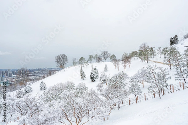 Obraz 하얗게 눈이 내린 겨울 풍경