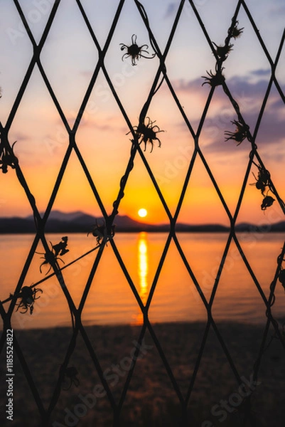 Fototapeta 철조망에 가려진 풍경.