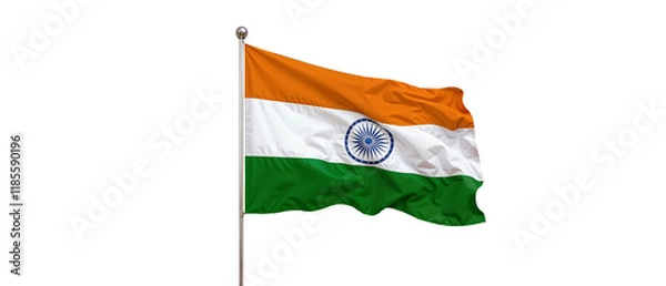 Obraz Indian flag