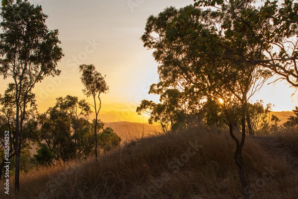 Fototapeta A sunrise view over the Australian Outback, with silhouettes of hardy trees and shrubs, capturing the essence of a new day.