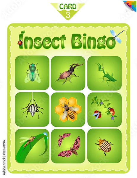 Obraz Bingo  with different insects 3