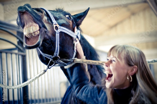 Fototapeta Two toothy smiles