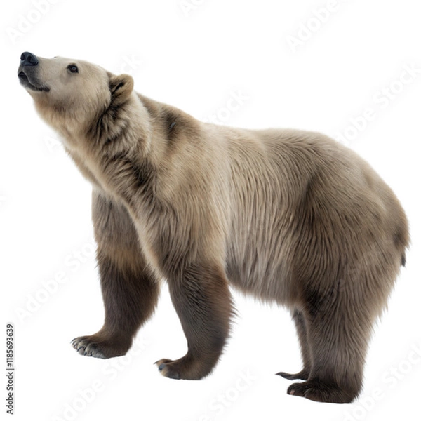 Fototapeta Arctodus AI Generated Image