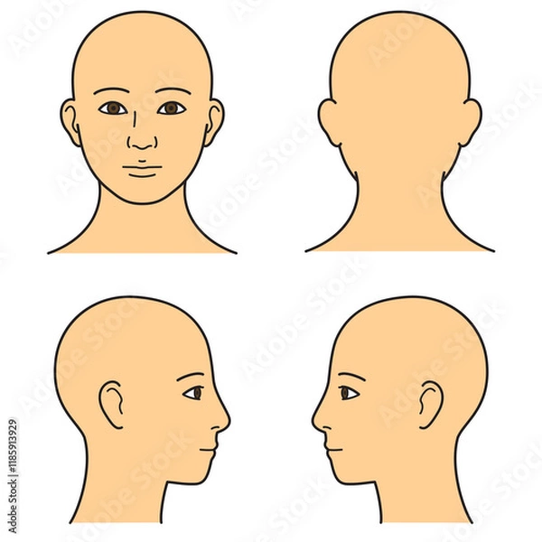 Obraz 顔　前後左右　カラー