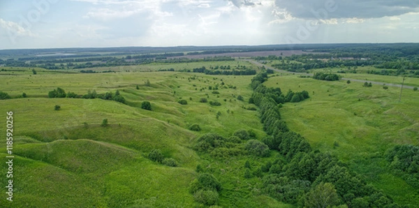 Fototapeta Large field of grass with a few trees in the background