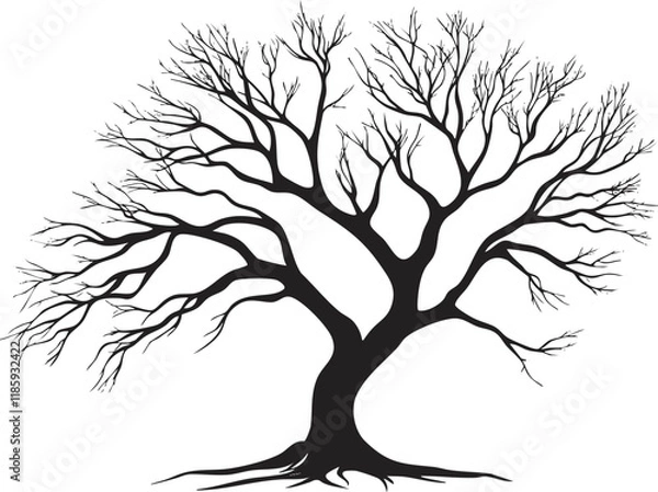 Obraz Silhouette of a leafless tree with intricate branches on white background.