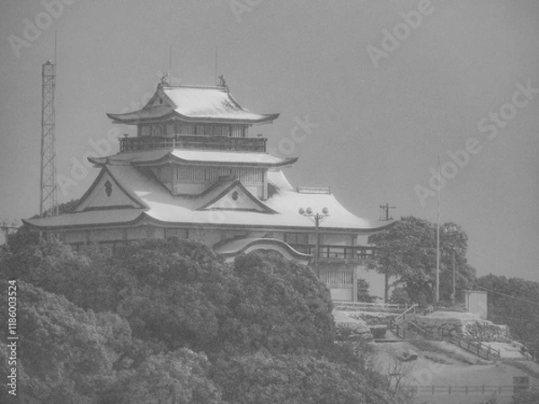 Fototapeta 小牧山城の雪景色