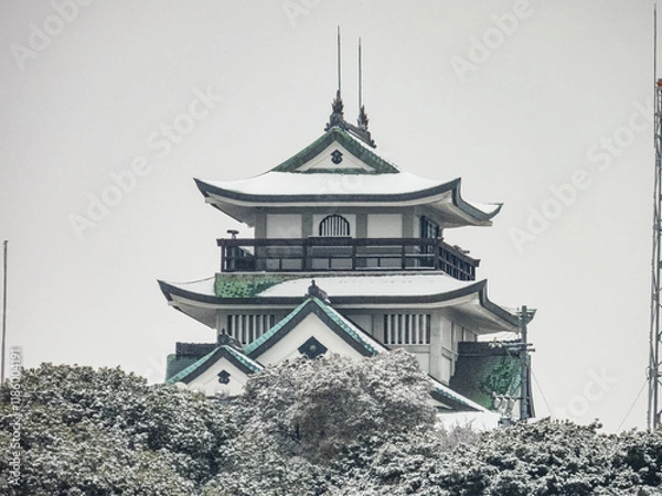 Fototapeta 小牧山城の雪景色