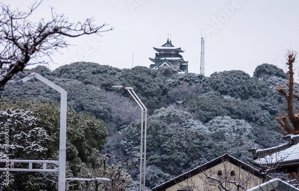 Obraz 小牧山城の雪景色