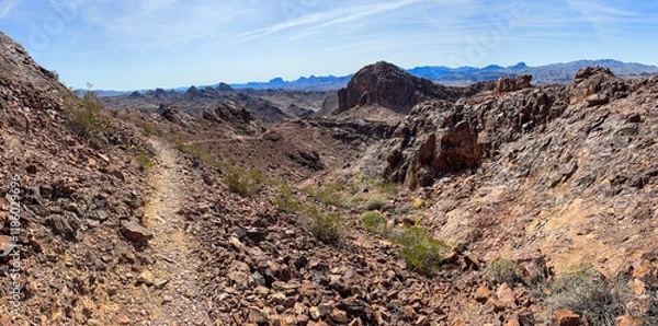 Fototapeta Desert landscape on lizard peak of sara park trail close to lake havasu arizona