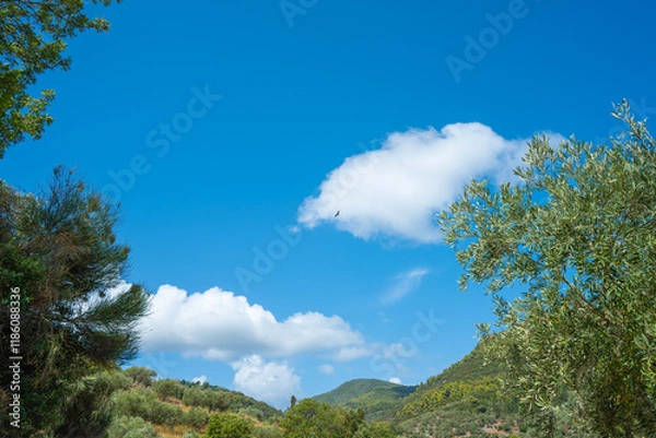 Obraz View of the sea, mountains, rocks, beaches, islands and the sky from different sides of the Skopelos island Greece.