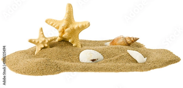 Obraz Starfish and seashells in a pile of sand isolated on a transparent background. Completely in focus. Focus stacking.