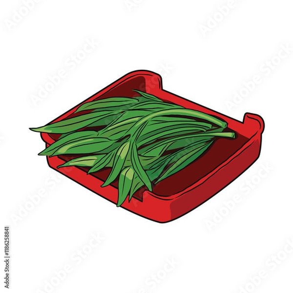 Obraz Isolated water spinach or morning glory in red plate, vegetables vector hand drawing illustration,Green leaves and whole part of water spinach on white background.Hight fiber food,hot pot ingredients.