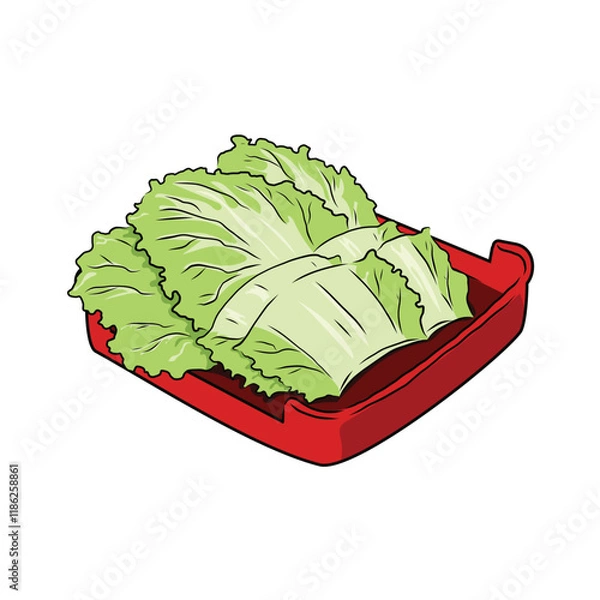Obraz Isolated Chinese Cabbage in red plate, vegetables vector hand drawing illustration, cutting part of Chinese cabbage on white background.Hight fiber food, hot pot ingredients.