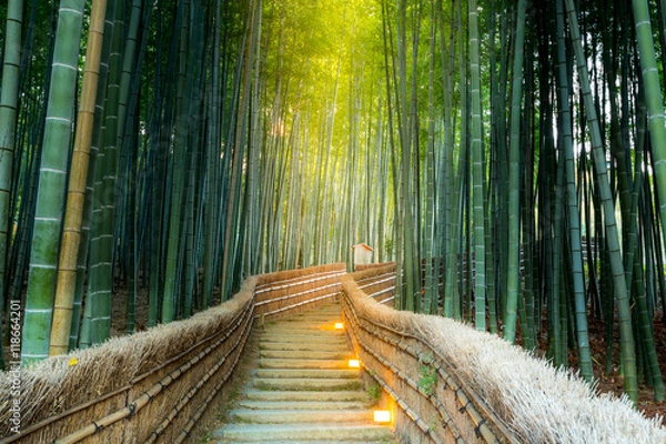 Fototapeta Las bambusowy Arashiyama