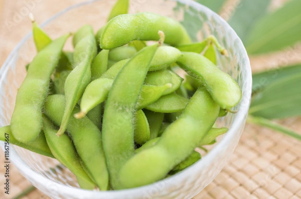 Obraz 枝豆