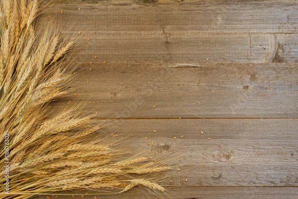 Fototapeta wheat ears with grains on the wooden background