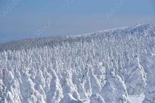 Obraz 蔵王の樹氷