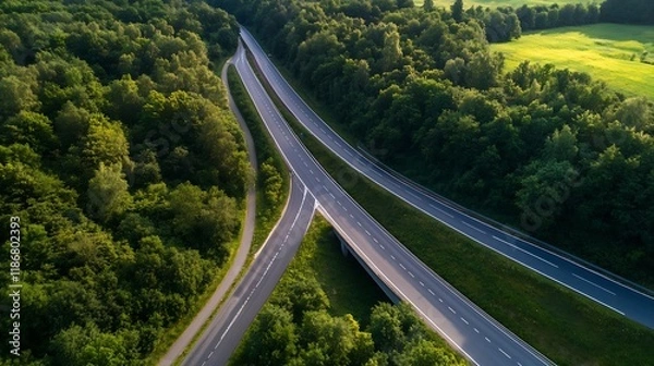 Fototapeta Aerial view of lush green forest with intersecting highway roads in serene setting : Generative AI