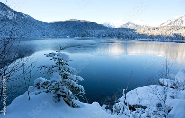 Fototapeta Winter trees and mountain reflection in the lake