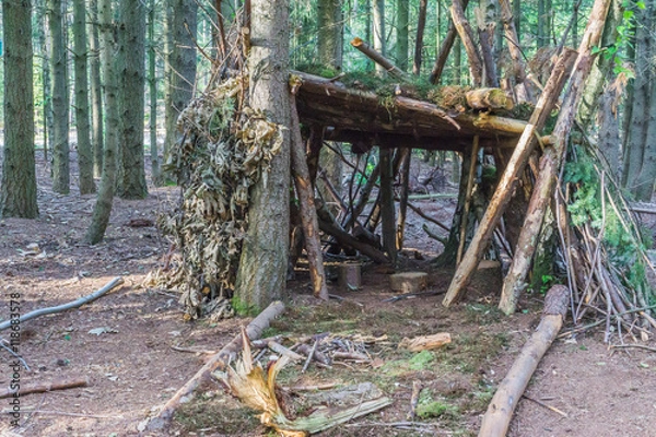 Obraz tree hut of branches and leaves forest view