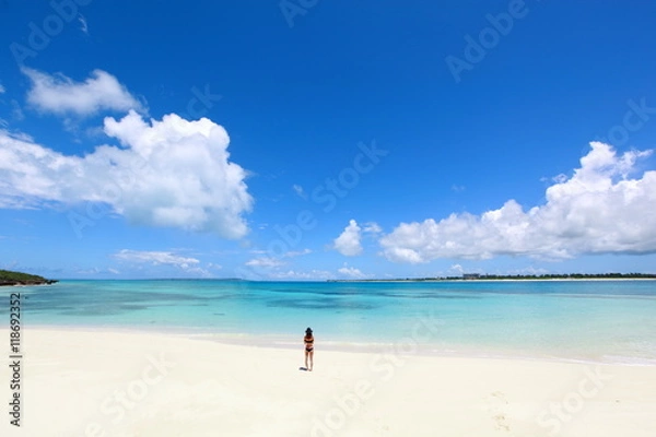 Obraz 白い砂浜と青い海