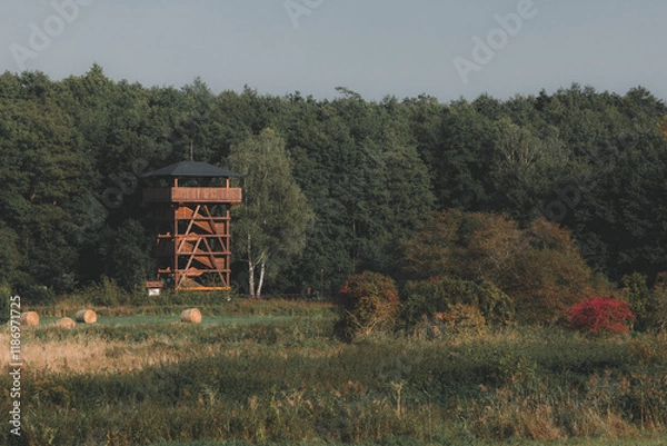 Obraz Birdwatching and observation tower hidden in an autumn forest.
