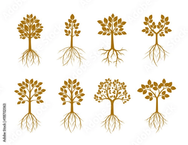 Obraz Set Golden Trees and Roots. Vector Illustration.