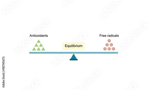 Obraz Redox homeostasis, equilibrium between antioxidant and oxidant levels. Vector scientific illustration.