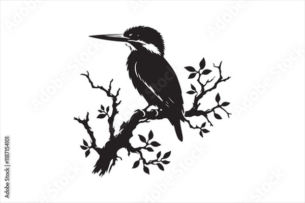 Obraz Kingfisher Silhouette vector 