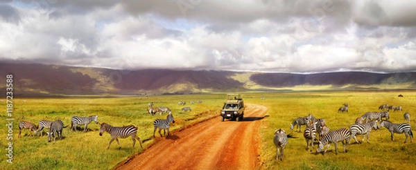 Obraz Safari in Ngorongoro Crater National park. Zebras against mountains and clouds.  Tanzania. Wild nature of Africa. Banner format.