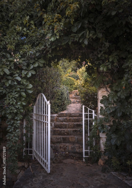 Fototapeta Garden Gate and Arched Vegetation, Path.