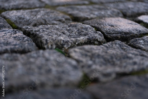 Fototapeta A macro shot of gray cobblestones, emphasizing their texture and detail. The natural gaps between the stones reveal a small patch of green moss, adding a touch of nature to the urban setting.