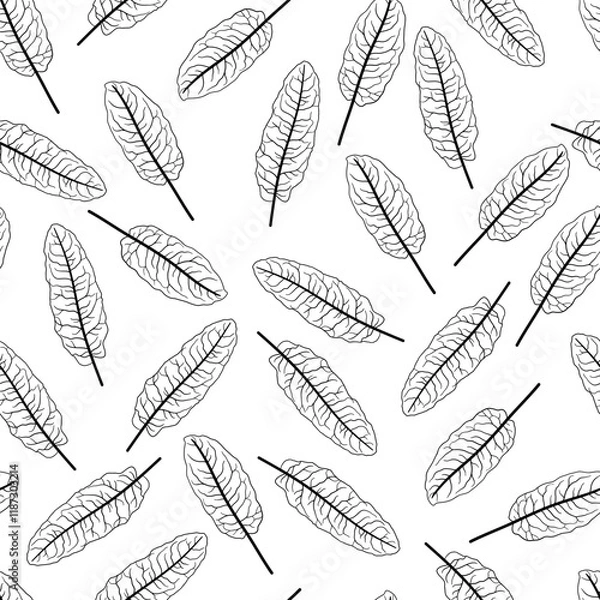 Fototapeta Seamless black-and-white pattern featuring hand-drawn leaves sorrel with intricate vein details. The minimalistic design and monochrome palette creates a stylish and elegant look, making it perfect