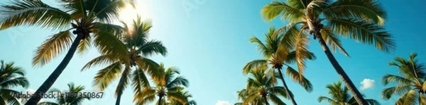 Fototapeta Palm trees stand tall with outstretched leaves towards the sky, tropical, landscape
