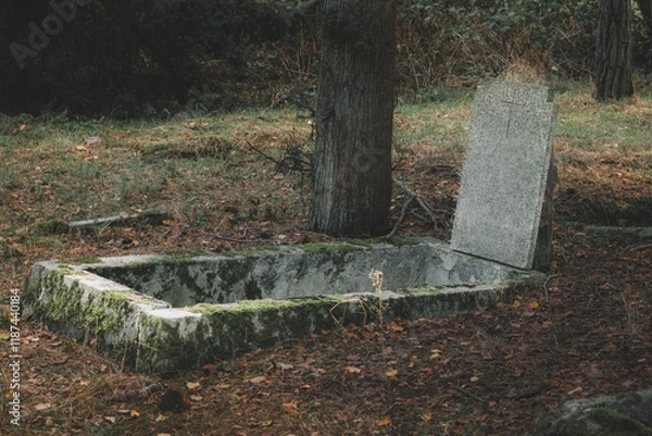 Obraz Łęsko - an old, post-German, abandoned cemetery hidden in the autumn forest.