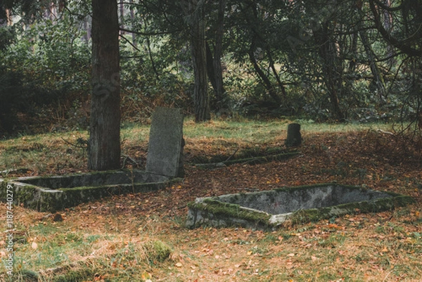 Obraz Łęsko - an old, post-German, abandoned cemetery hidden in the autumn forest.
