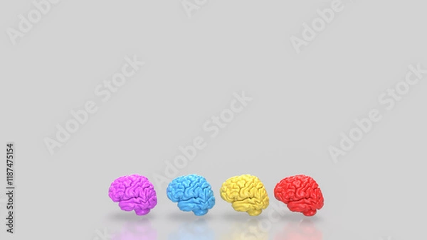 Fototapeta The Brain multi color on white background  for education or sci concept 3d rendering.