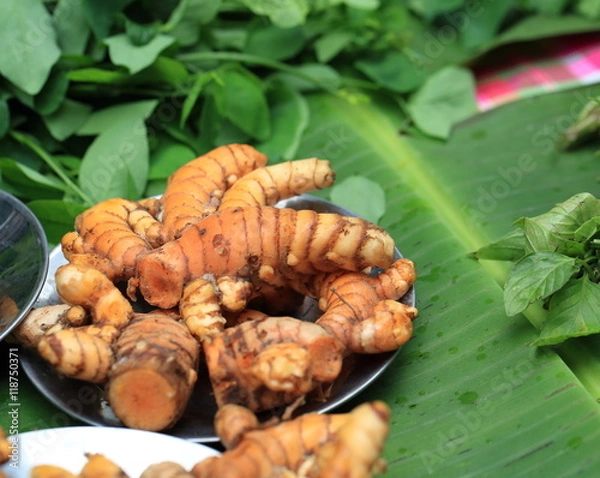 Obraz grilled wings with herbs