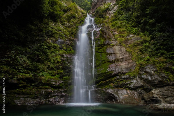 Fototapeta 滝と新緑（愛媛県西条市銚子の滝）