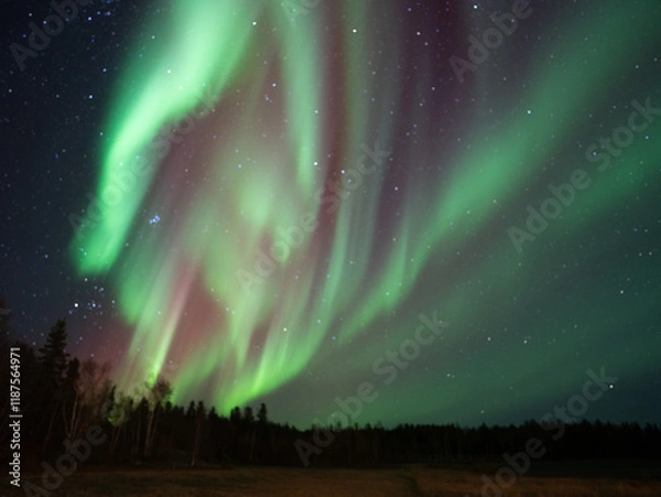 Obraz カラフルなオーロラ